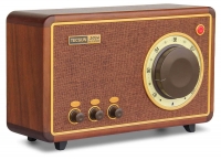 FM радиоприемник и bluetooth динамик Tecsun 2024 WOOD (export version)