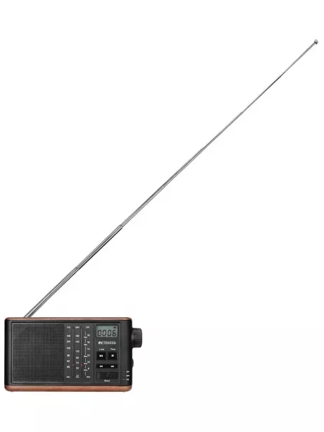 портативный радиоприемник в стиле ретро Retekess TR613 