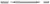 ручка со стилусом Baseus Golden Cudgel Capacitive Stylus Pen silver