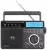 Переносной радиоприемник с MP3 плеером Retekess TR629 