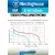 аккумуляторы Westinghouse 1000 mAh  R03/AAA 8шт. 